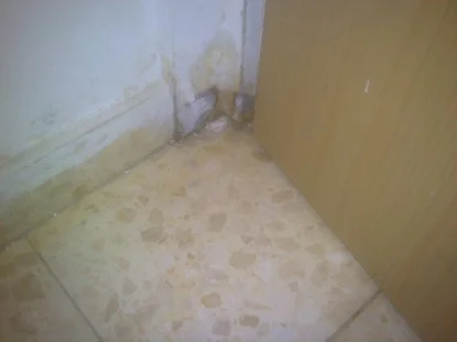 לוזון - איתור כשל ממערכת המסד של הבית איתור נזילות במרתפים