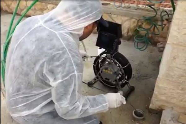 לוזון - טוואי צנרת מים חיים