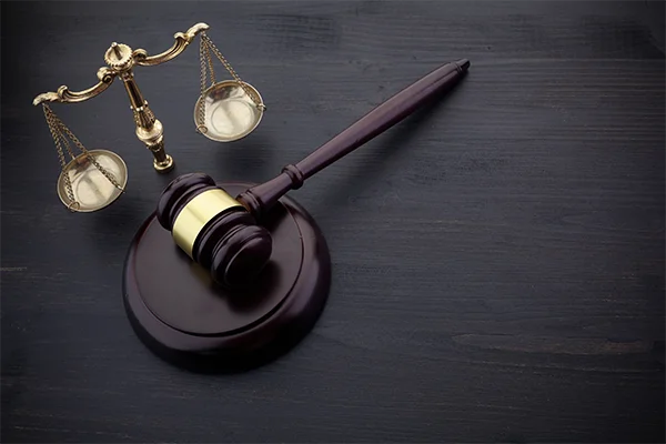 מאיר לוזון - עד מומחה בבית משפט