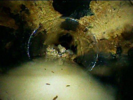 ביוב- איתור נזילות מים