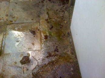 איתור נזילות מים - השתקפות המנורה על הרצפה יוצרת הטעיה למאתר במצלמה התרמית