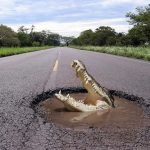 בולענים מאמרים מקצועיים