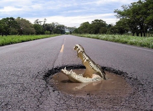 בולענים מאמרים מקצועיים