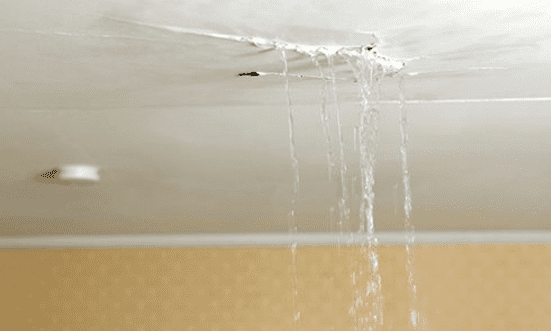 בדק בית למתווכים