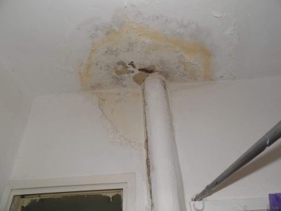 לוזון - איתור נזילה שמגיעה מדירת השכנים מלמעלה