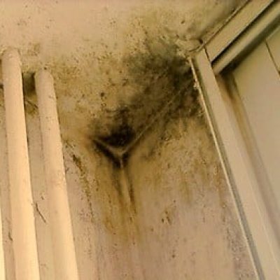 לוזון - איתור נזילה שמגיעה מדירת השכנים מלמעלה